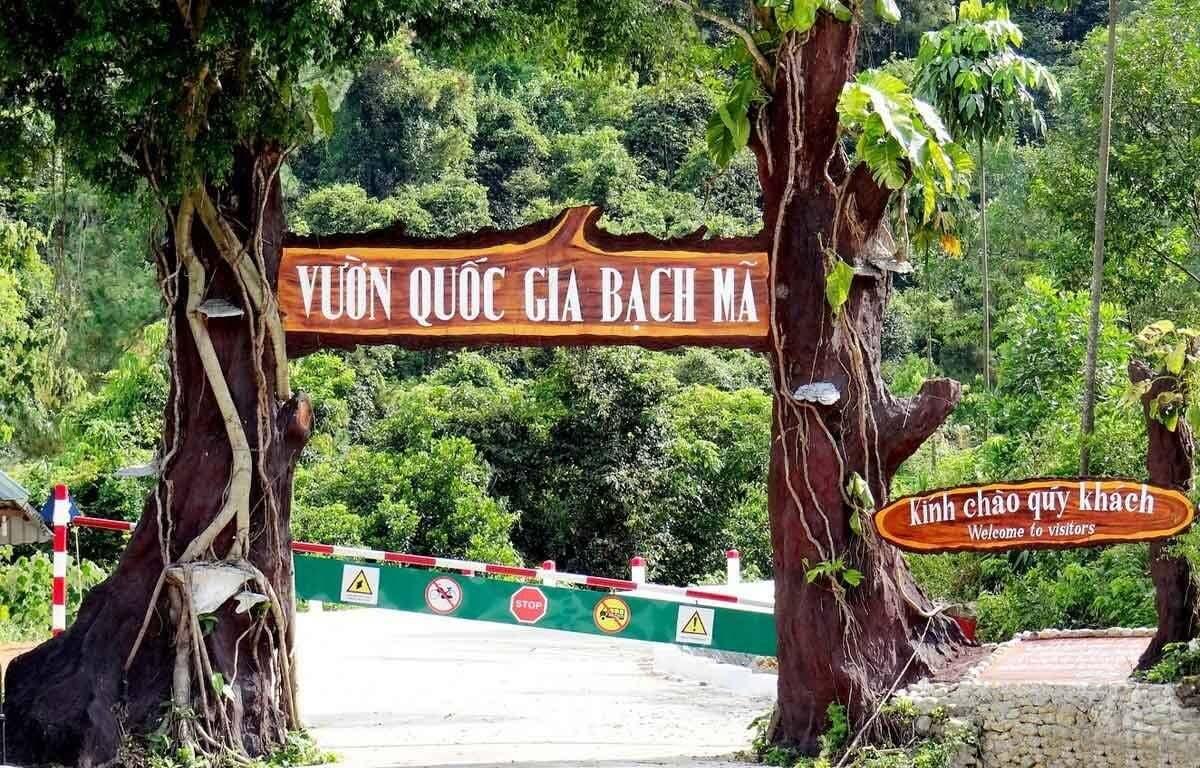 Entrance to Bach Ma National Park surrounded by lush greenery.