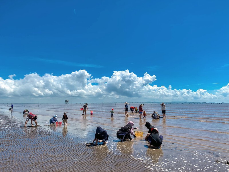 Clear blue waters at Can Gio Beach, perfect for swimming and enjoying the tranquil seaside.