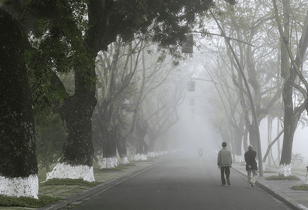 Tranquil streets of Hue city during the rainy season with light rain and lush greenery.